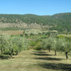 Castel Madama